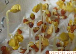 ���肵���t�卪�̌s�������オ���Ă��n�߂��ʐ^