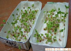 �炿�������J�C�����c�S�̑�