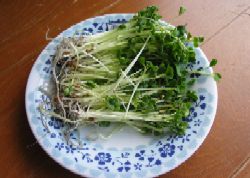 ���n�����J�C����