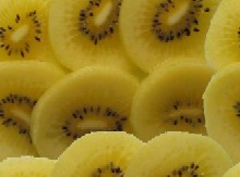 �L�[�E�B�̎ʐ^