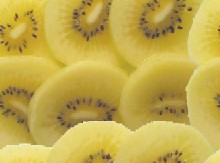 �L�[�E�B�̎ʐ^(�������邭����)