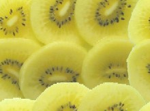 �L�[�E�B�̎ʐ^(�����΂���������)